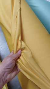 Toulouse MUSTAR  -(Milaneza) ELA1050